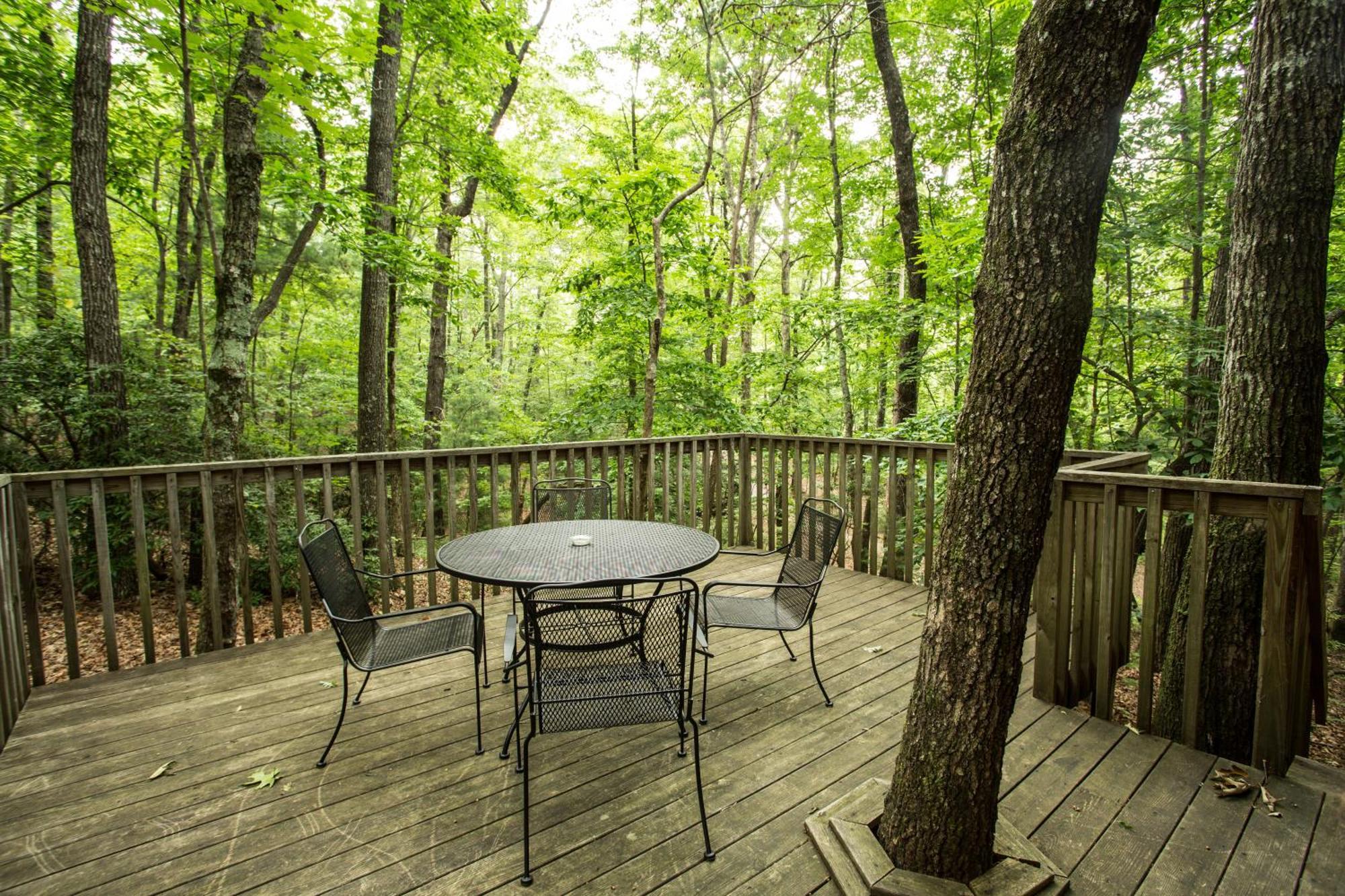 Forrest Hills Mountain Resort Далонега Номер фото